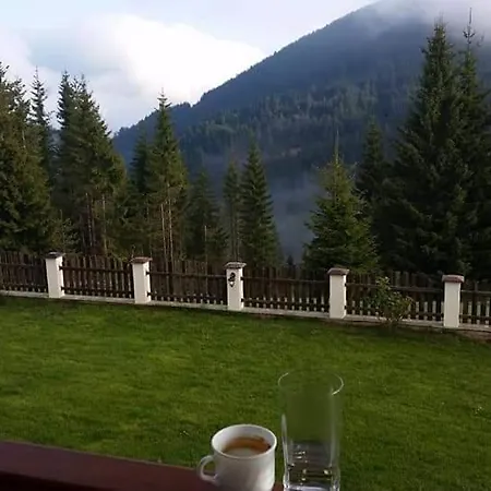 Villa чала *